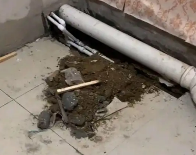 长岭卫生间漏水检测哪家好